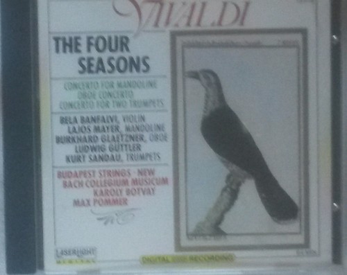 Four seasons concerto - four,